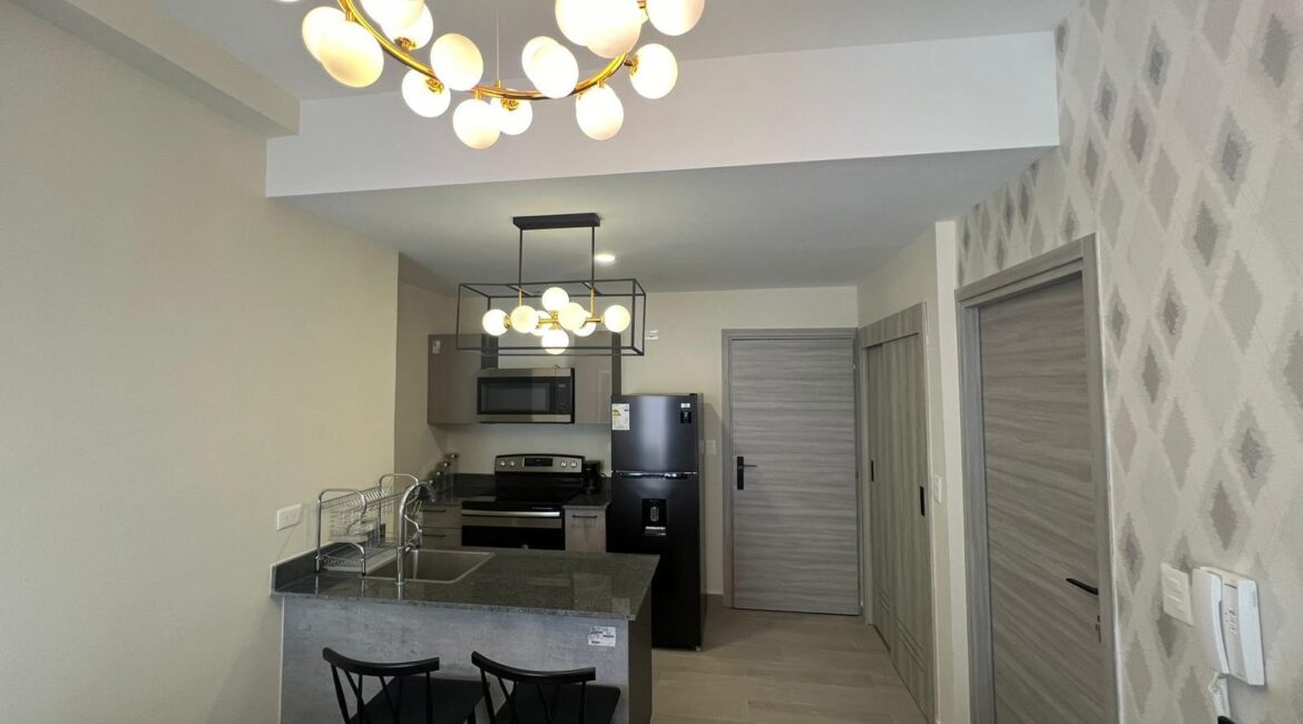 1 Bedroom Fully Furnished Vista Cana