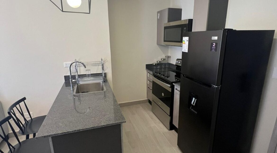 1 Bedroom Fully Furnished Vista Cana